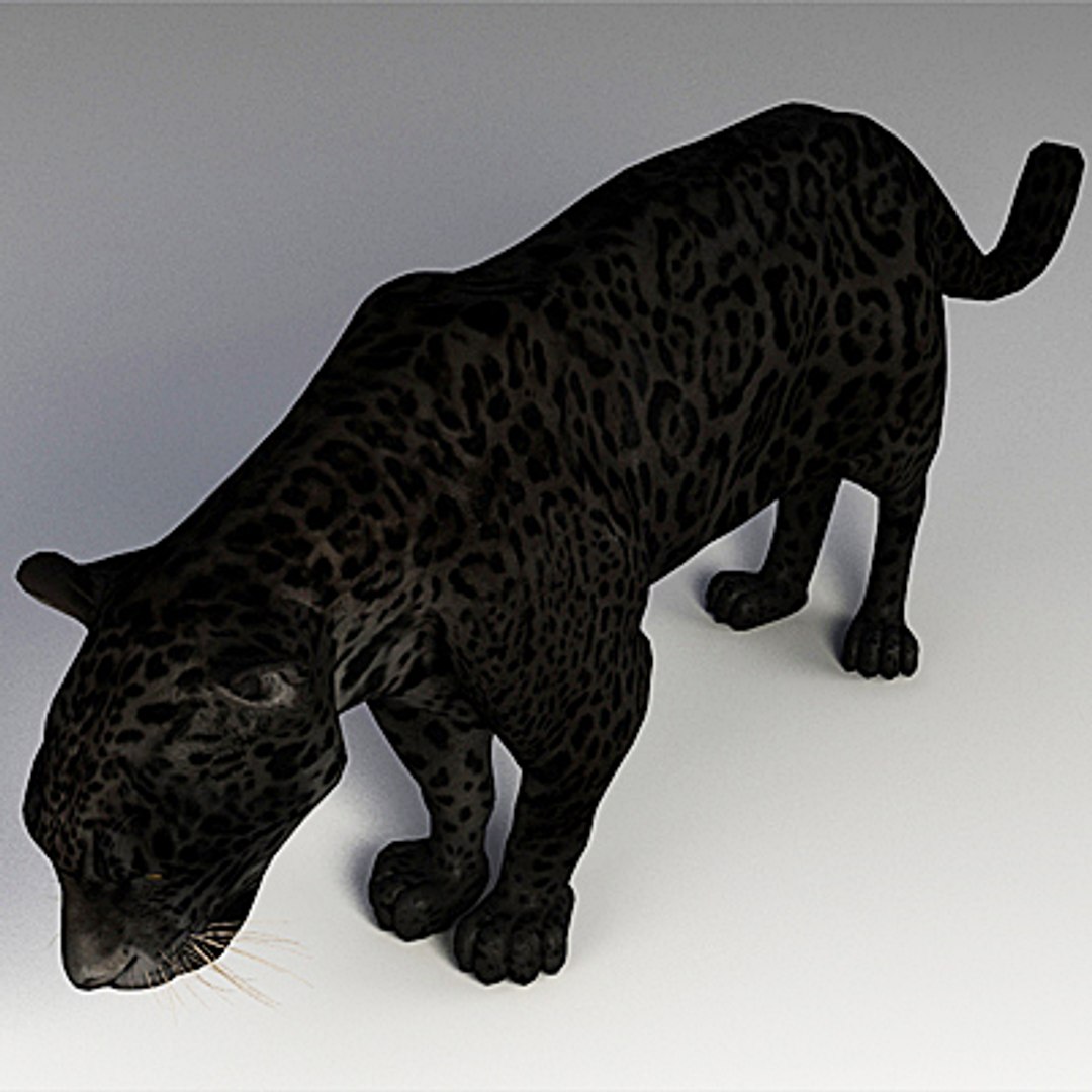 panther cats 3d model https://p.turbosquid.com/ts-thumb/Qg/B66f6x/LW2PFUG7/pantherc02/jpg/1259588727/1920x1080/fit_q87/a36db70763751541475b759c590a0c6f133ab5c1/pantherc02.jpg