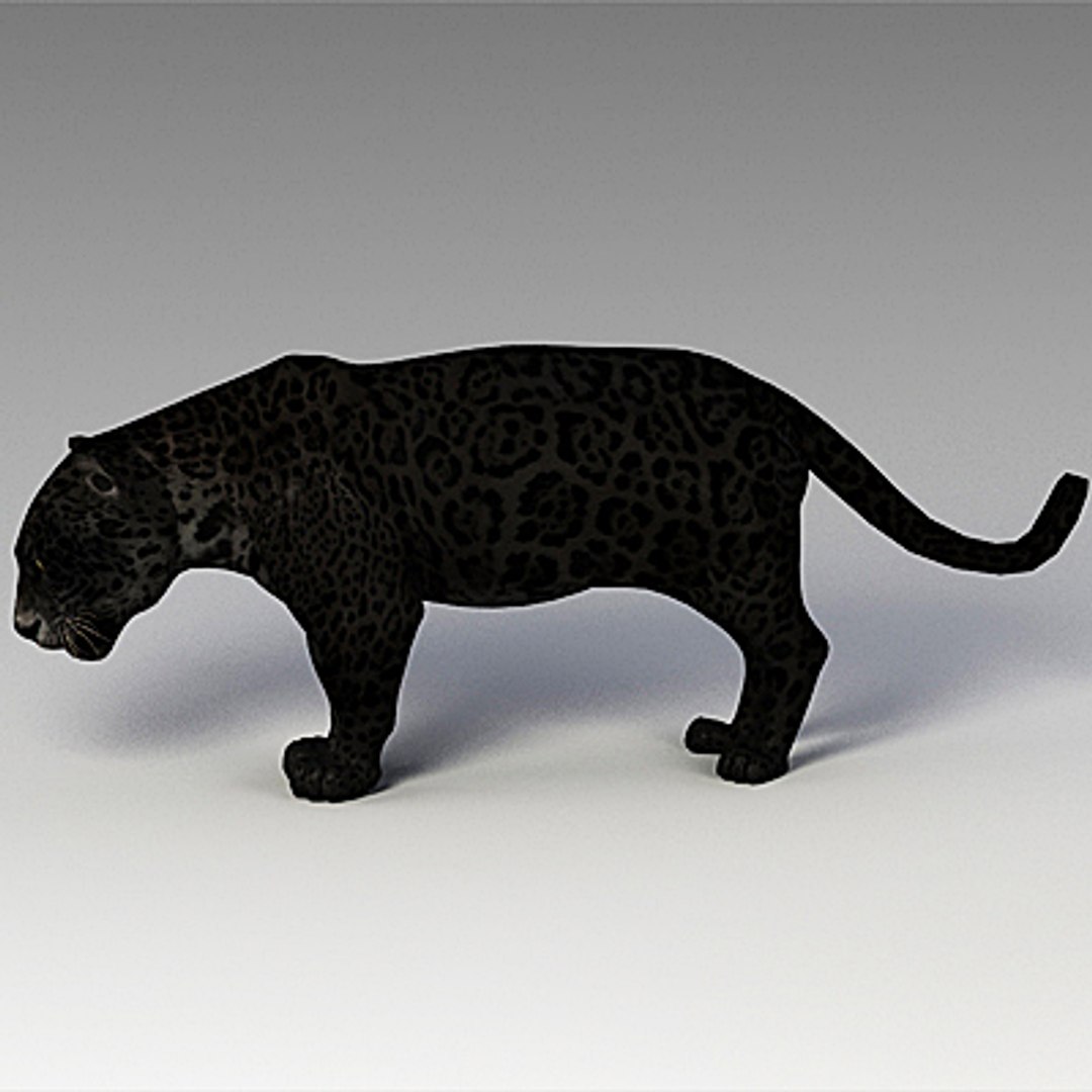 panther cats 3d model https://p.turbosquid.com/ts-thumb/Qg/B66f6x/clKTg7bt/pantherc03/jpg/1259588735/1920x1080/fit_q87/c5a27c41d67a790722bf68a99b2be136dcc9a3f9/pantherc03.jpg