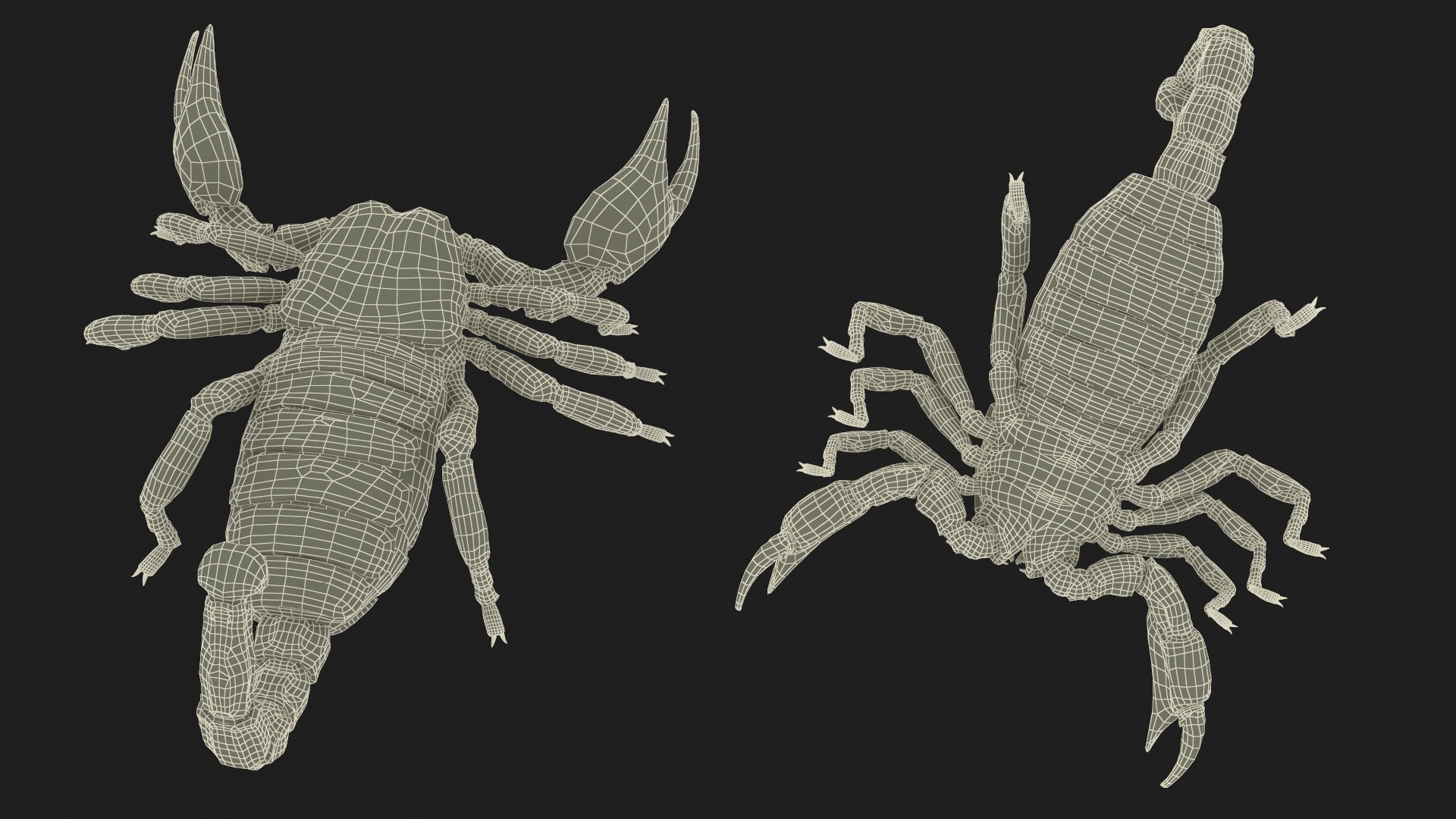 Walking Scorpion Animated Rigged for Cinema 4D model https://p.turbosquid.com/ts-thumb/Qg/HkYs90/Ul/walking_scorpion_animated_rigged_020/jpg/1759416675/1920x1080/fit_q87/e2b05121cdaeb8bc853e42a8f3021e95acdf3030/walking_scorpion_animated_rigged_020.jpg
