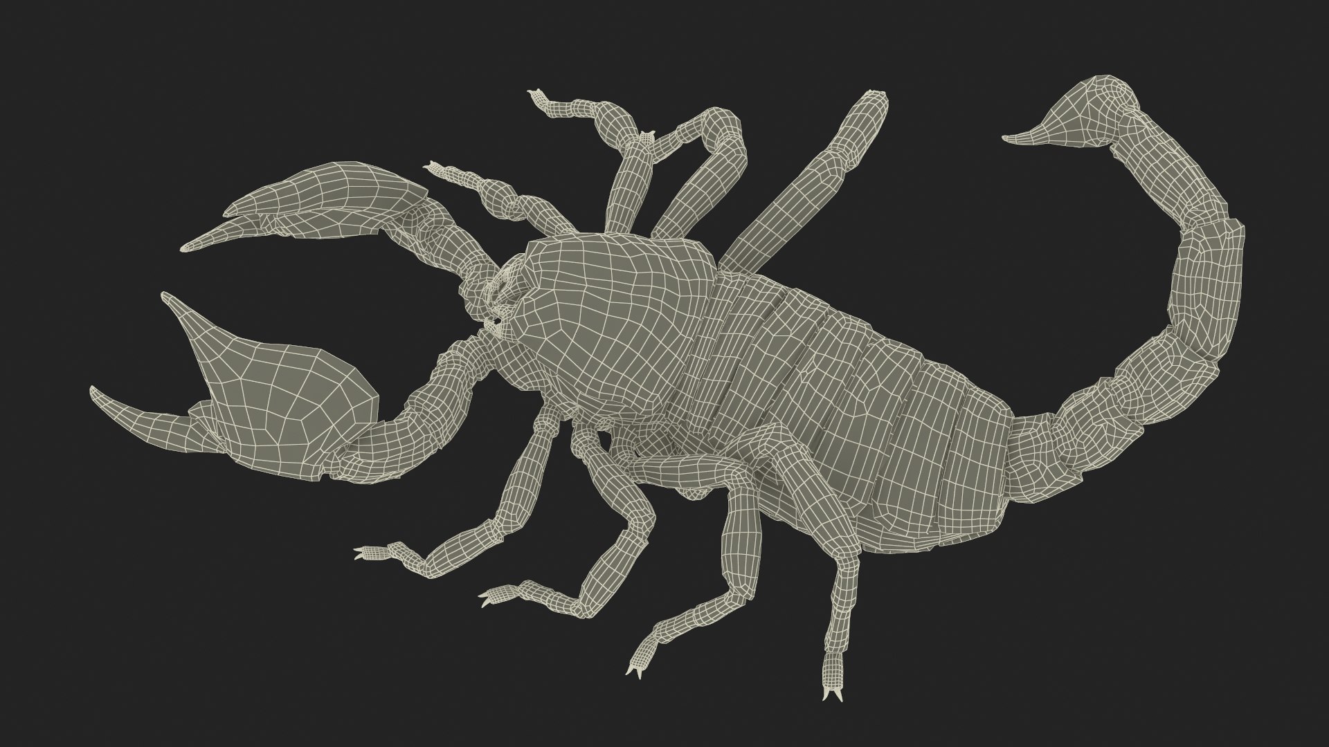 Walking Scorpion Animated Rigged for Cinema 4D model https://p.turbosquid.com/ts-thumb/Qg/HkYs90/eB/walking_scorpion_animated_rigged_021/jpg/1759416680/1920x1080/fit_q87/ea918e0233b825102d375c8e4b50433a16da6a13/walking_scorpion_animated_rigged_021.jpg
