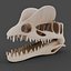 Dino Skull Collection