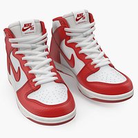 Nike Skateboarding Shoe Dunk High Pro Red