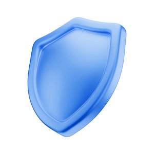 Shield Icon