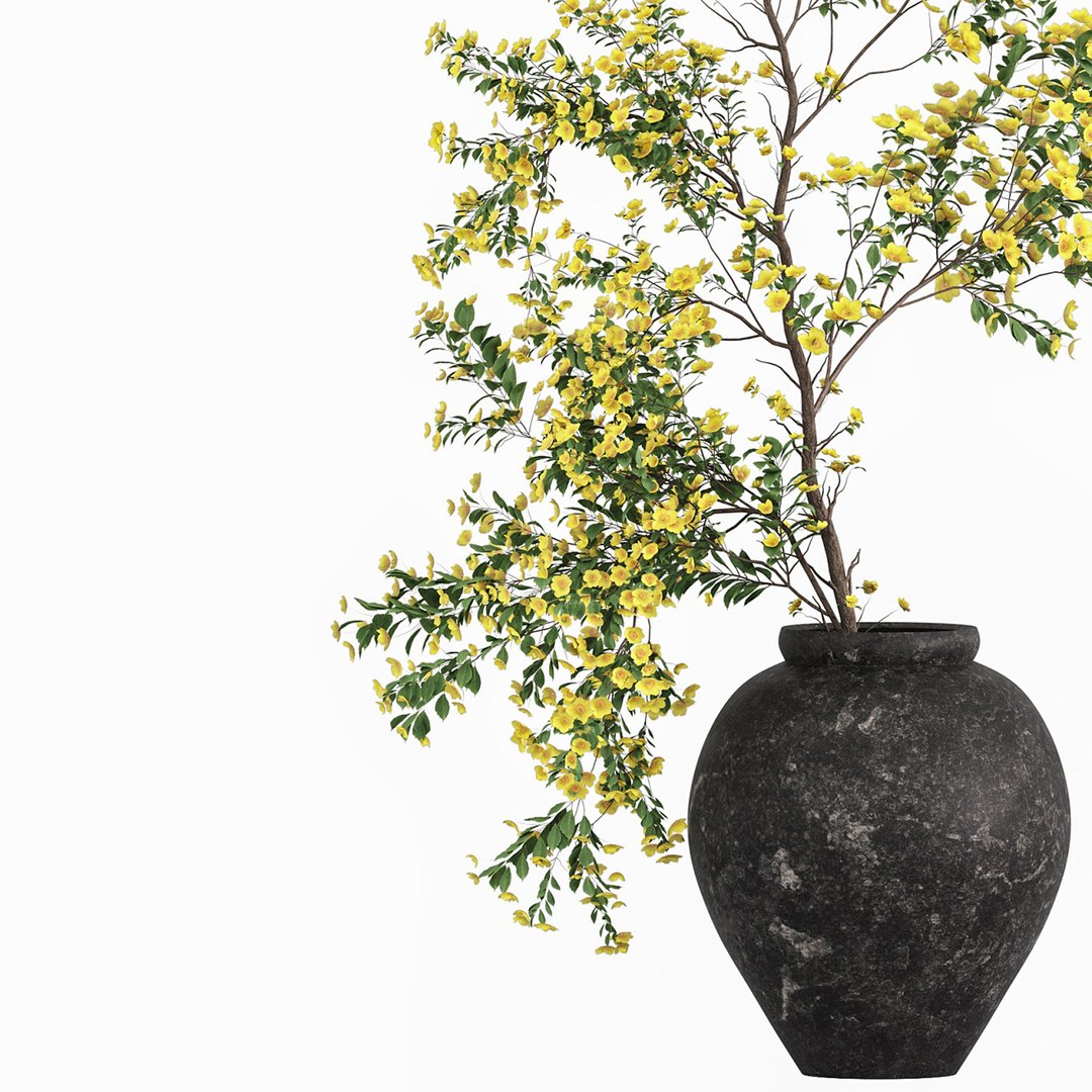 3D Plants with tiny flowers in pots model https://p.turbosquid.com/ts-thumb/Qg/Z390wu/EN/06/jpg/1764053224/1920x1080/fit_q87/a945f853f9522e505f93c49c73565a5556f6846d/06.jpg