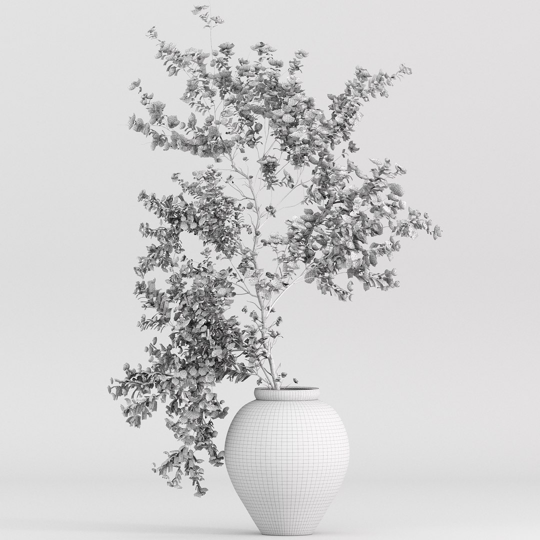 3D Plants with tiny flowers in pots model https://p.turbosquid.com/ts-thumb/Qg/Z390wu/O9/03/jpg/1764053220/1920x1080/fit_q87/6935bd12073757d6e209b96fcb40c34f00cc235f/03.jpg