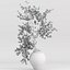 Plantas com flores minúsculas em vasos