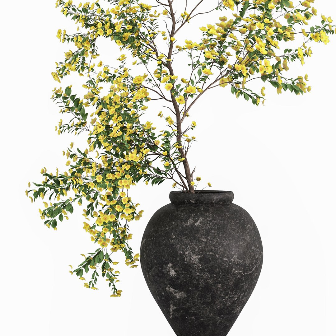 3D Plants with tiny flowers in pots model https://p.turbosquid.com/ts-thumb/Qg/Z390wu/W1/07/jpg/1764053228/1920x1080/fit_q87/4cc7331d02514d34c584e20ffd55cb7d79c41b2c/07.jpg