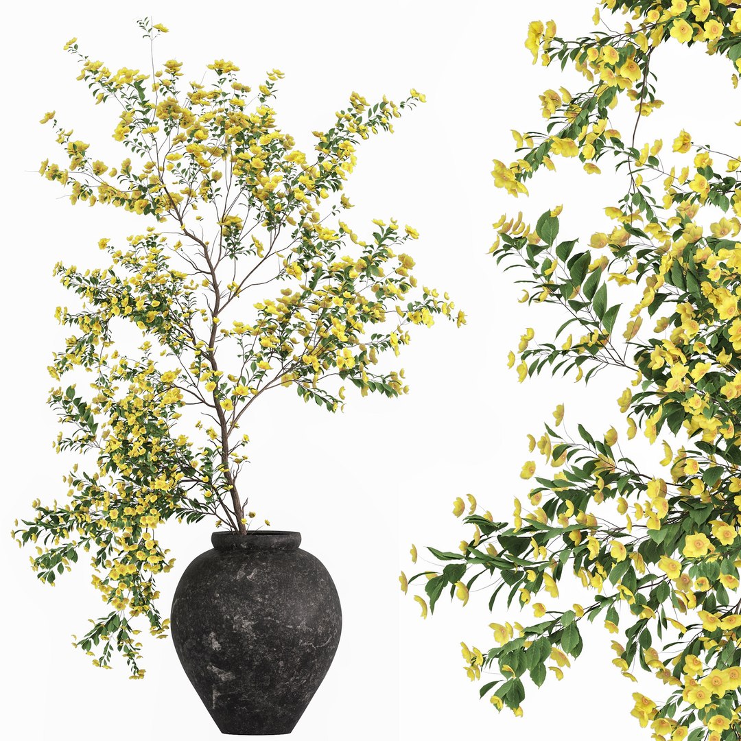 3D Plants with tiny flowers in pots model https://p.turbosquid.com/ts-thumb/Qg/Z390wu/YI/0101/jpg/1764053227/1920x1080/fit_q87/5dcfc0ccbb95c58a686a78276e1e0ab24163947b/0101.jpg