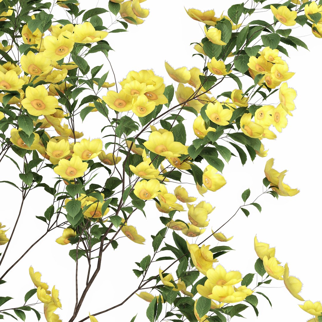 3D Plants with tiny flowers in pots model https://p.turbosquid.com/ts-thumb/Qg/Z390wu/aN/04/jpg/1764053222/1920x1080/fit_q87/065f5669e74c3618882c4c7d4c1477460dc5944e/04.jpg
