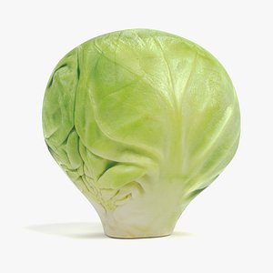 Brussels Sprout 2