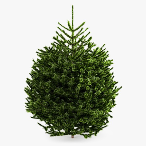 3d model 2 fir tree