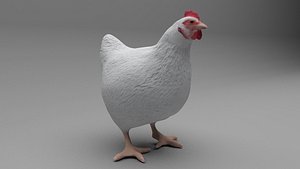 3D chicken model