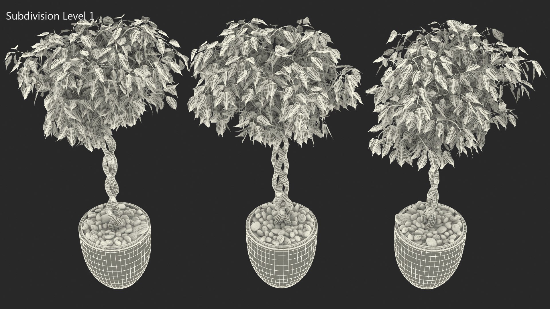 3D Ficus Benjamina Variegated Tree in Pot https://p.turbosquid.com/ts-thumb/Qg/xlbiHs/7K/ficusbenjaminavariegatedtreeinpotc4dmodel018/jpg/1622581303/1920x1080/fit_q87/dd6d8c6d417ca85a157da8a1e7903079a9b63176/ficusbenjaminavariegatedtreeinpotc4dmodel018.jpg