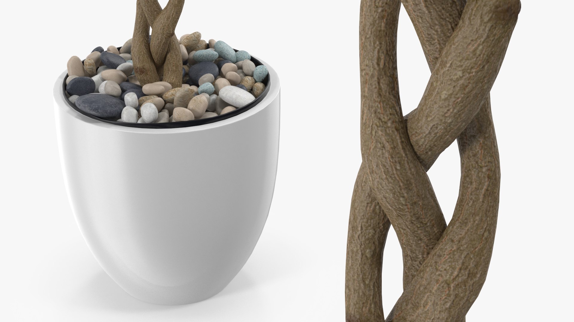 3D Ficus Benjamina Variegated Tree in Pot https://p.turbosquid.com/ts-thumb/Qg/xlbiHs/Fg/ficusbenjaminavariegatedtreeinpotc4dmodel009/jpg/1622581230/1920x1080/fit_q87/72f2ade2c62490a203ca9df6dc0aab08d5041899/ficusbenjaminavariegatedtreeinpotc4dmodel009.jpg