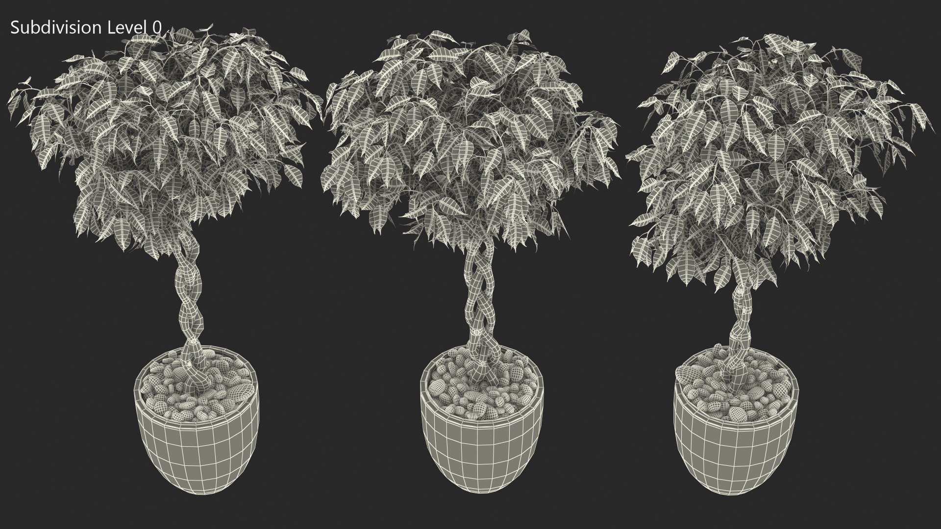 3D Ficus Benjamina Variegated Tree in Pot https://p.turbosquid.com/ts-thumb/Qg/xlbiHs/OP/ficusbenjaminavariegatedtreeinpotc4dmodel017/jpg/1622581299/1920x1080/fit_q87/d2a535b0be60342b562f2972fc14c0283a04da14/ficusbenjaminavariegatedtreeinpotc4dmodel017.jpg