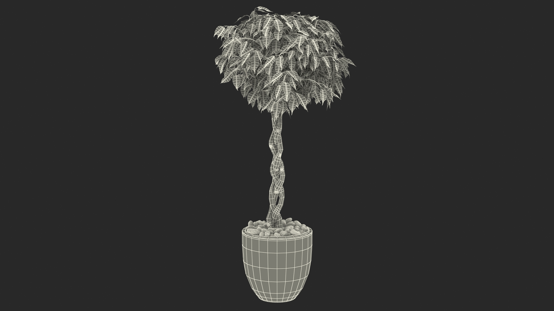 3D Ficus Benjamina Variegated Tree in Pot https://p.turbosquid.com/ts-thumb/Qg/xlbiHs/OS/ficus_benjamina_variegated_tree_in_pot_361/jpg/1622581415/1920x1080/turn_fit_q99/622cecba8937b47b0cbd2fdc04cdd9fff8749abd/ficus_benjamina_variegated_tree_in_pot_361-1.jpg
