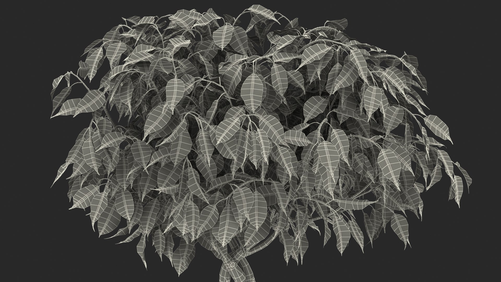 3D Ficus Benjamina Variegated Tree in Pot https://p.turbosquid.com/ts-thumb/Qg/xlbiHs/TU/ficusbenjaminavariegatedtreeinpotc4dmodel030/jpg/1622581386/1920x1080/fit_q87/e5a4b8685c91c9fa3a88be55a2fc2841fc78a195/ficusbenjaminavariegatedtreeinpotc4dmodel030.jpg