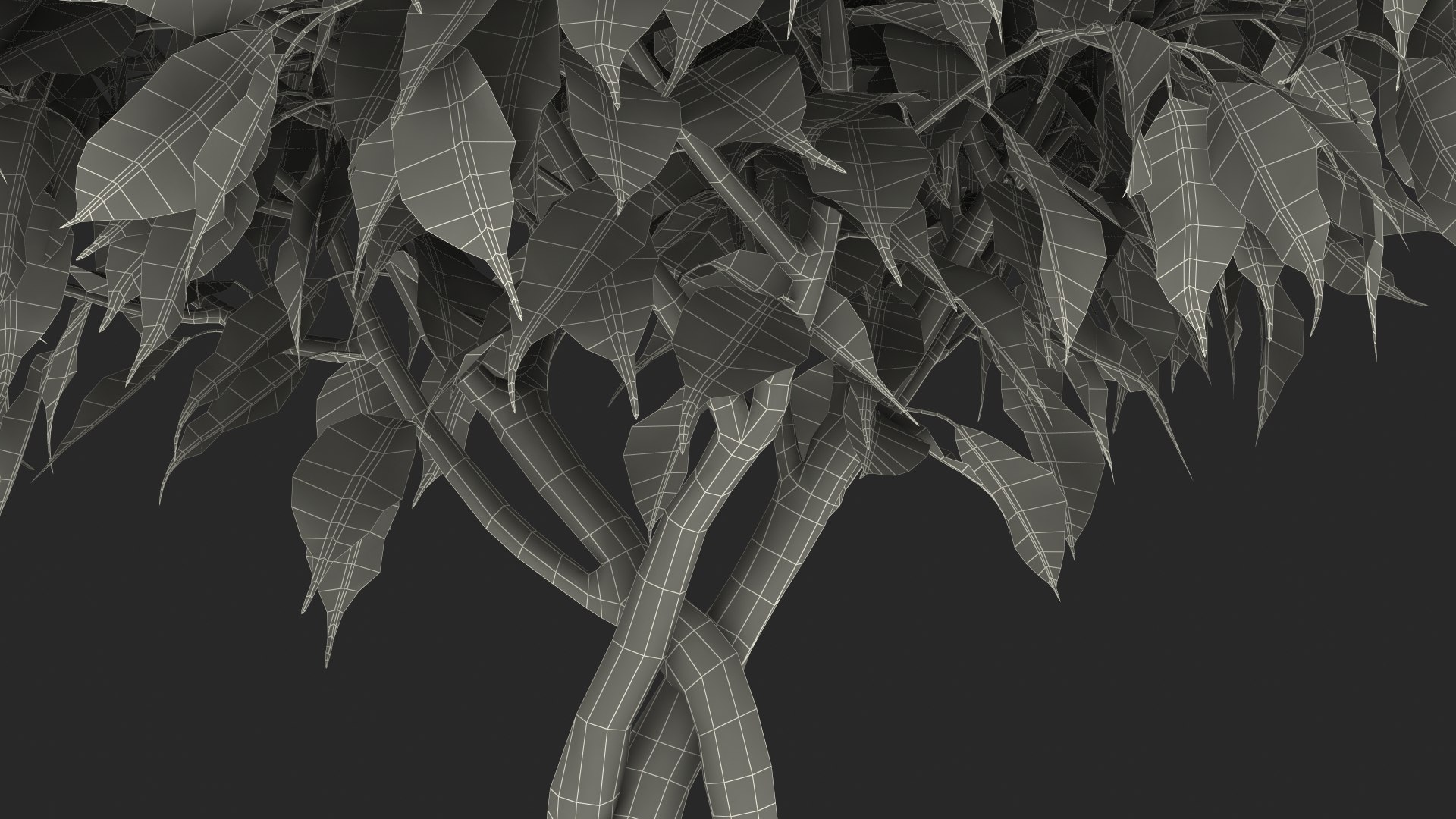 3D Ficus Benjamina Variegated Tree in Pot https://p.turbosquid.com/ts-thumb/Qg/xlbiHs/s1/ficusbenjaminavariegatedtreeinpotc4dmodel032/jpg/1622581398/1920x1080/fit_q87/c48e60e146d68a32909f6e789b2c1fa3a9d177ae/ficusbenjaminavariegatedtreeinpotc4dmodel032.jpg