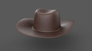3D Cowboy Hat