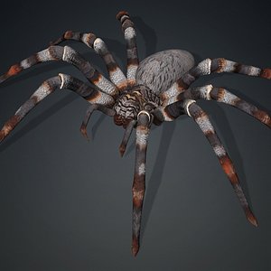Spider-V1