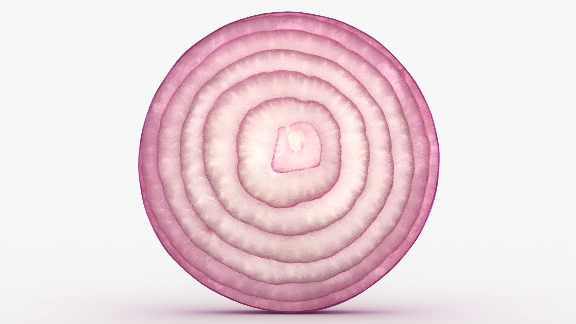 Onion Slice Collection 3D model https://p.turbosquid.com/ts-thumb/Qh/EBjuAa/Nl/1/jpg/1771003677/1920x1080/fit_q87/ef618cd1189160411cd00a374bd2fa92424f6d79/1.jpg