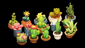 Succulents Pack