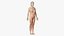 Anatomie féminine complète