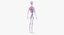 Anatomie féminine complète