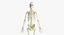 Anatomie féminine complète