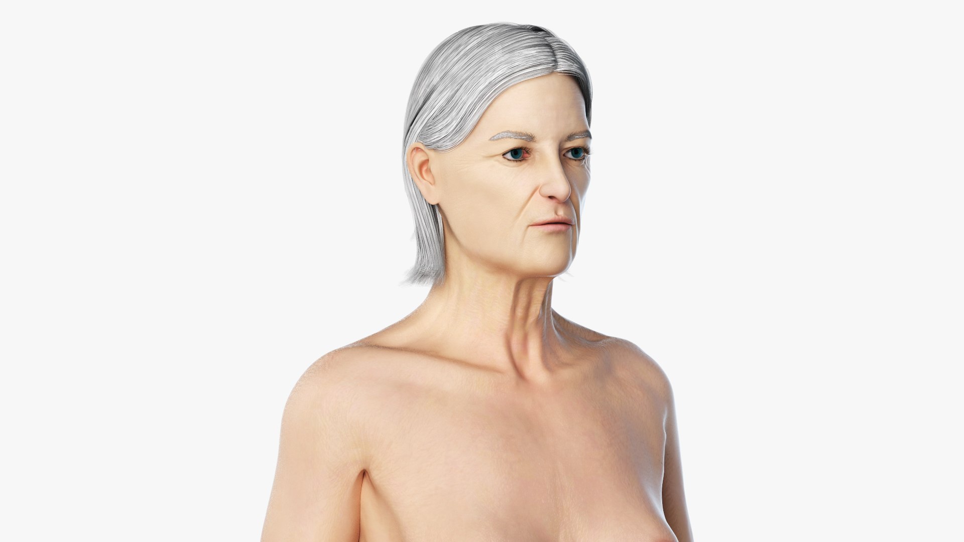 3D model elder female anatomy https://p.turbosquid.com/ts-thumb/Qh/TgVpwU/Qd1z5FYC/elder_female_body0000/jpg/1569239597/1920x1080/fit_q87/ca610a0ea5b99f1fa50d186a47fc39795257be10/elder_female_body0000.jpg