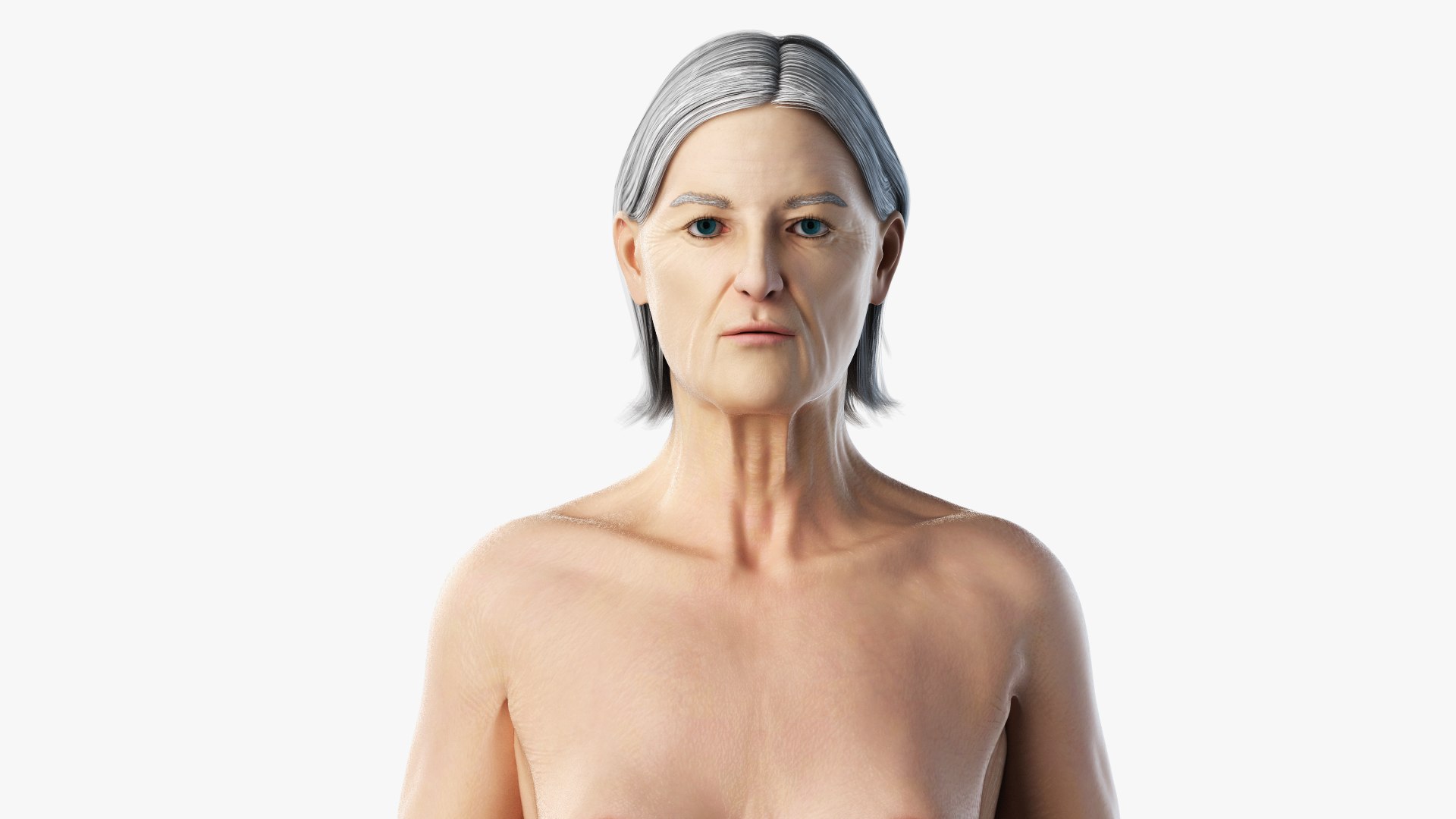3D model elder female anatomy https://p.turbosquid.com/ts-thumb/Qh/TgVpwU/oIIJsR2r/elder_female_body0001/jpg/1569239597/1920x1080/fit_q87/dff654082a4f3d9ebbb3c7f578e9e4ac01755d2e/elder_female_body0001.jpg