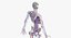 Anatomie féminine complète