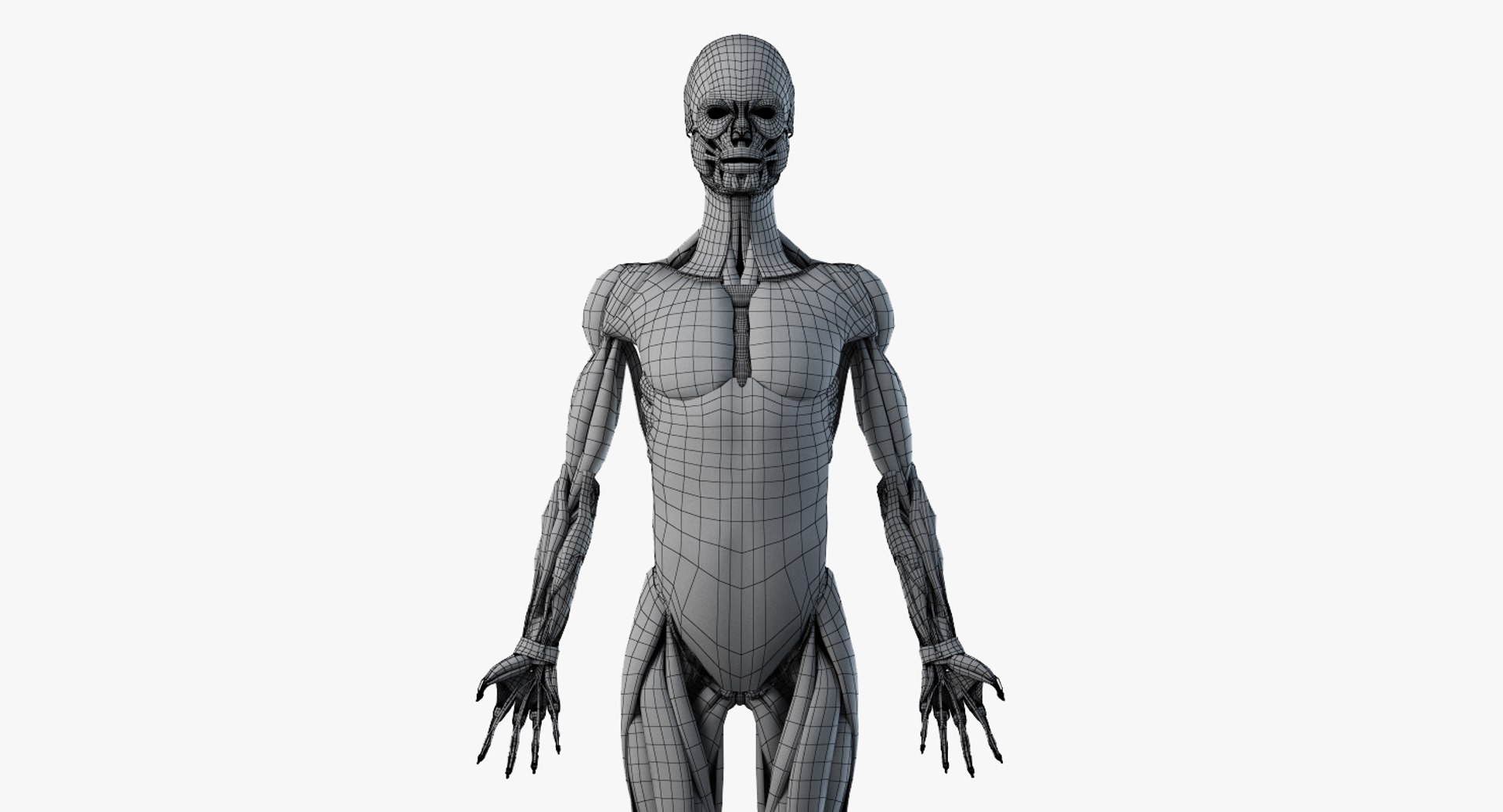 3D model elder female anatomy https://p.turbosquid.com/ts-thumb/Qh/TgVpwU/u5bwWdpx/2019_female_wire_anatomy_skel_muscles0001/jpg/1569246778/1920x1080/fit_q87/ec741431a039ea0c9665b42946005cd6eef47557/2019_female_wire_anatomy_skel_muscles0001.jpg
