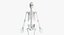 Anatomie féminine complète