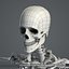 Essentials Female Anatomy Pack Essentials (Texture