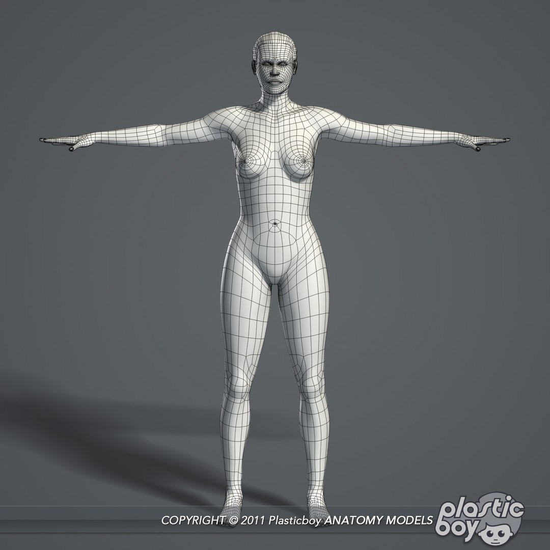 3d essential female anatomy model https://p.turbosquid.com/ts-thumb/Qh/gAXANg/MNEW6Vtp/female_body_01_wf/jpg/1305304846/1920x1080/fit_q87/8236ee345d0764d8c04db5870fa30c0a4375f618/female_body_01_wf.jpg
