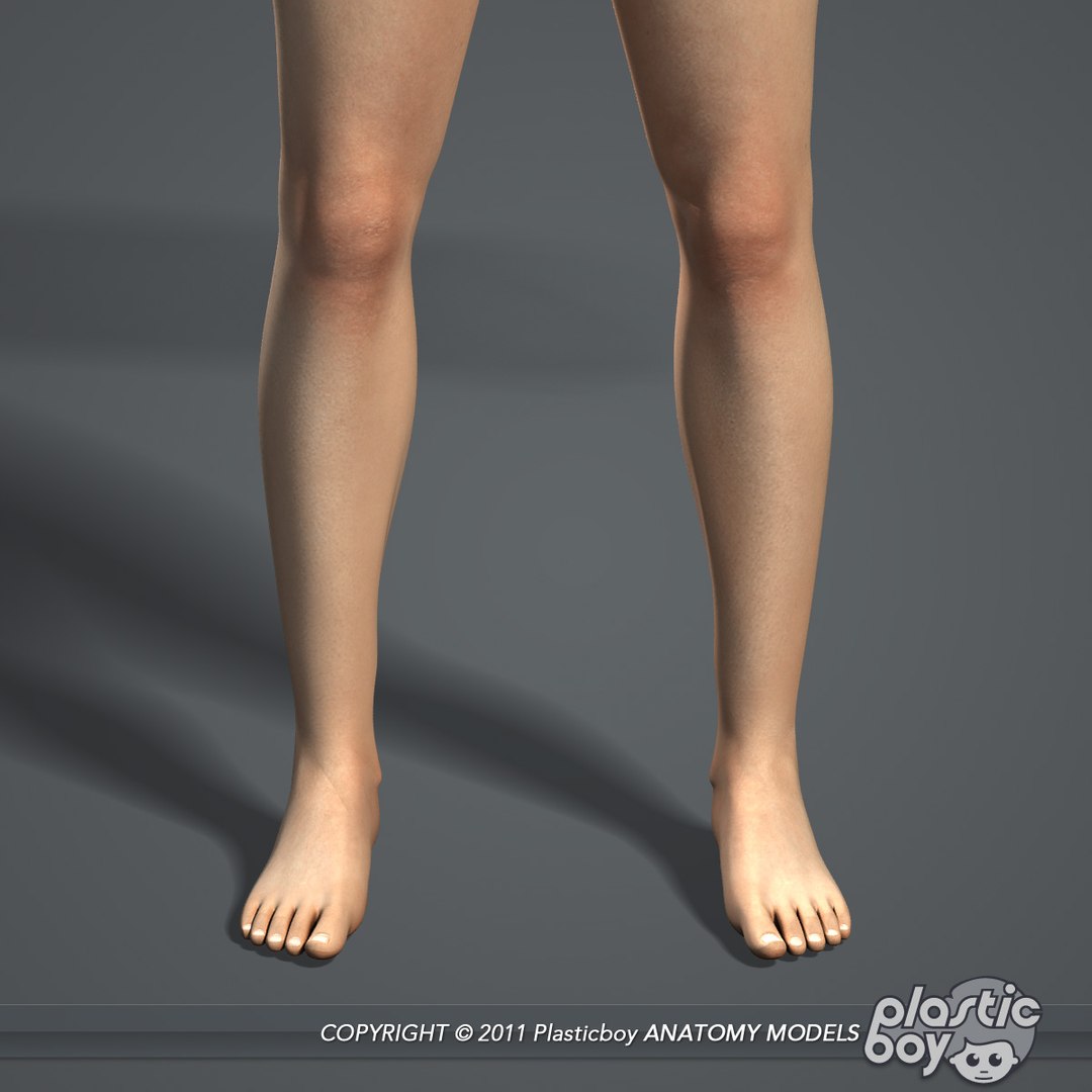 3d essential female anatomy model https://p.turbosquid.com/ts-thumb/Qh/gAXANg/WFd0RpCX/female_body_06/jpg/1305304846/1920x1080/fit_q87/a57f82a3d11dcbbde24d70b0169078b1397cdbcb/female_body_06.jpg