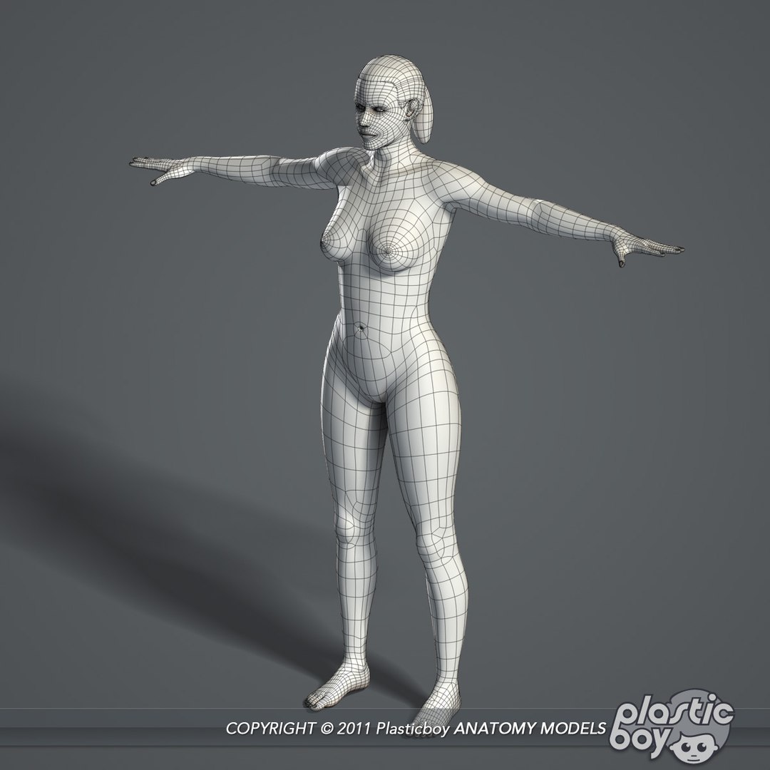 3d essential female anatomy model https://p.turbosquid.com/ts-thumb/Qh/gAXANg/rB9GWF1N/female_anatomy_complete_05/jpg/1305304846/1920x1080/fit_q87/599ba1b703cd4ed0f7bf6c128ebce7d0e42682a0/female_anatomy_complete_05.jpg