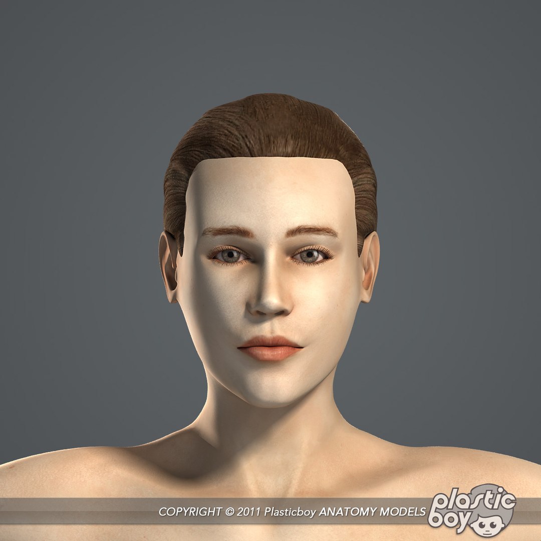 3d essential female anatomy model https://p.turbosquid.com/ts-thumb/Qh/gAXANg/sBuPDvWF/female_body_04/jpg/1305304846/1920x1080/fit_q87/fbe99460d1014476472927af321500c9844365f3/female_body_04.jpg