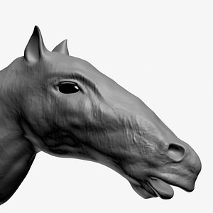 Horse Head