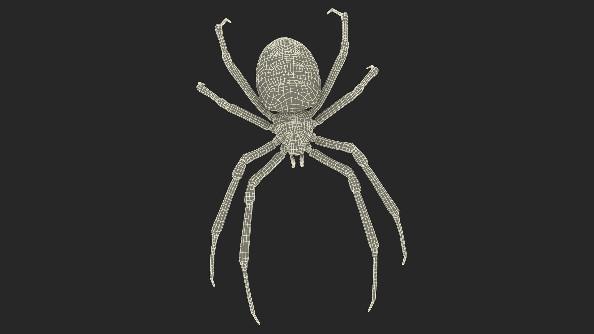 3D model Argiope Trifasciata Spider Rigged for Maya - TurboSquid 1964605