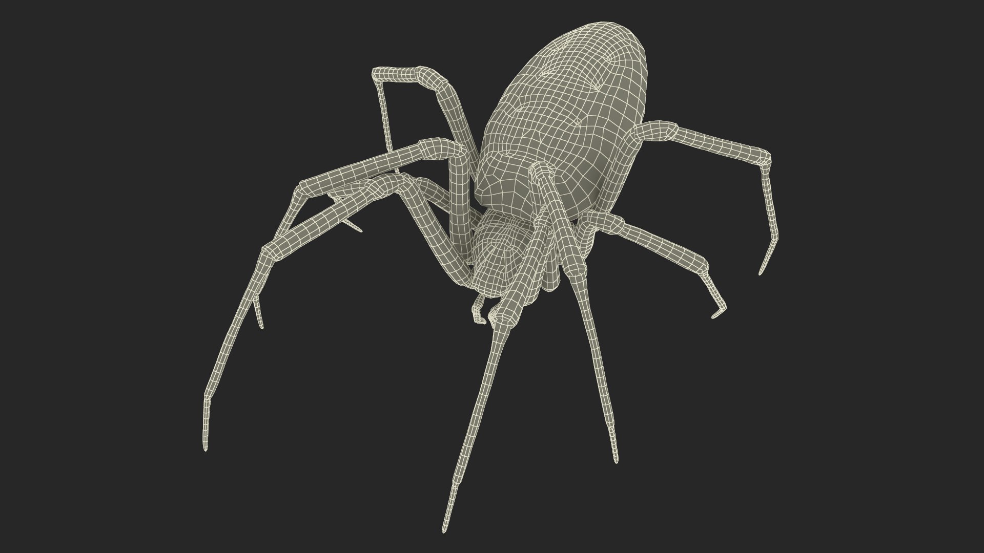 3D model Argiope Trifasciata Spider Rigged for Maya https://p.turbosquid.com/ts-thumb/Qh/lqJ01L/9V/argiopetrifasciataspiderriggedformayac4dmodel039/jpg/1664224057/1920x1080/fit_q87/43ec14053b2e8a81a8e7287970ae2ed334cc919c/argiopetrifasciataspiderriggedformayac4dmodel039.jpg