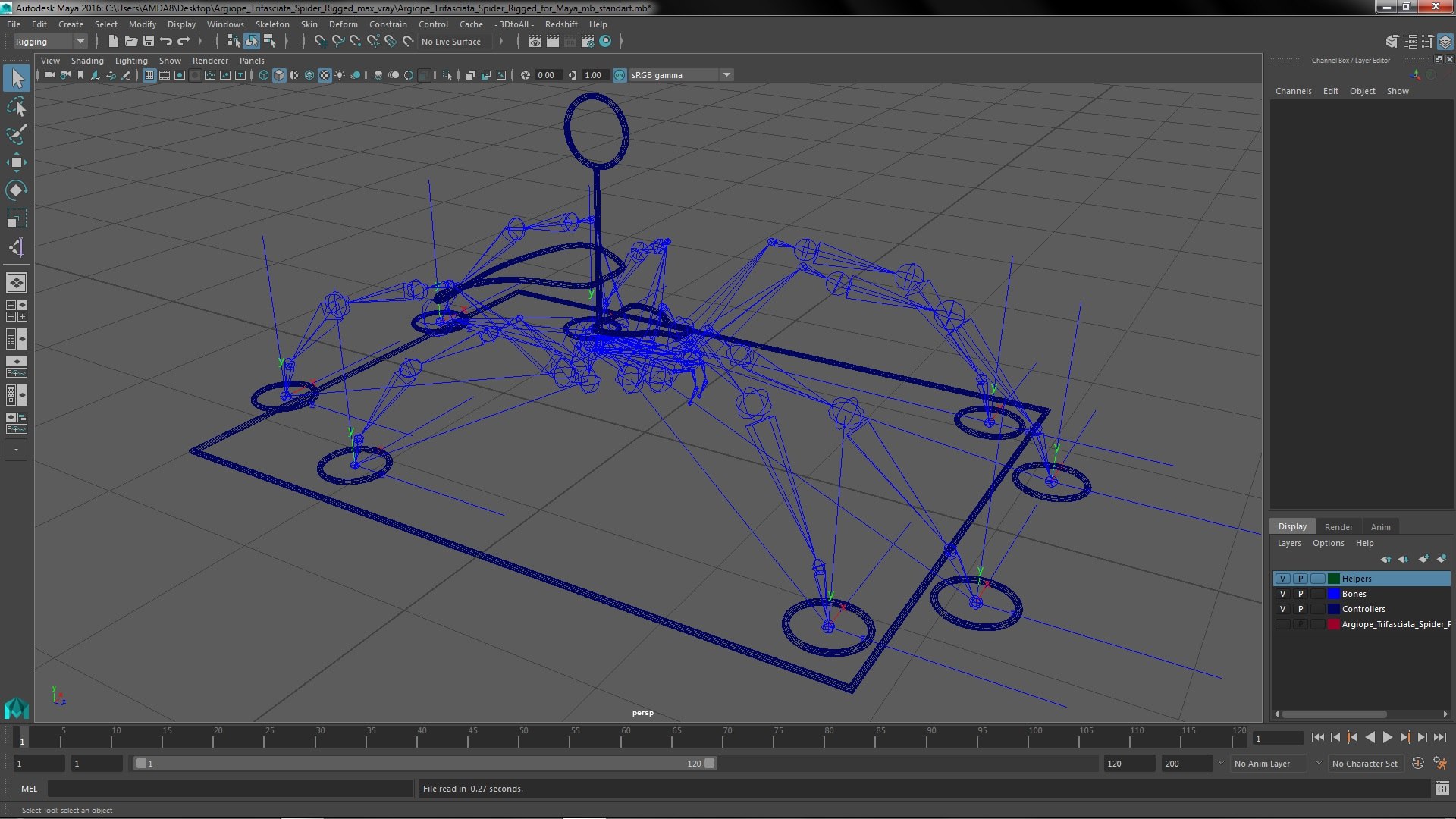 3D model Argiope Trifasciata Spider Rigged for Maya - TurboSquid 1964605