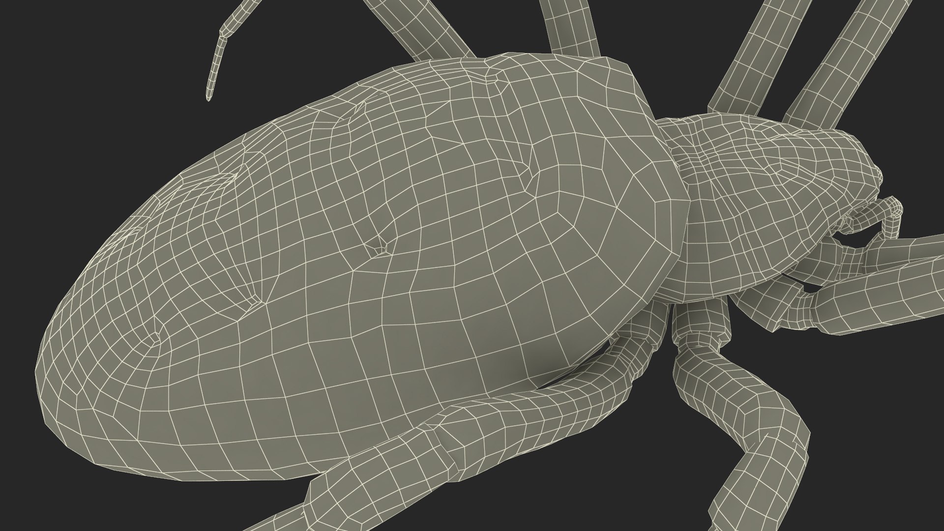 3D model Argiope Trifasciata Spider Rigged for Maya https://p.turbosquid.com/ts-thumb/Qh/lqJ01L/LS/argiopetrifasciataspiderriggedformayac4dmodel035/jpg/1664224041/1920x1080/fit_q87/94f53058f1d622e32cf1d32bc8f009ab1f039741/argiopetrifasciataspiderriggedformayac4dmodel035.jpg