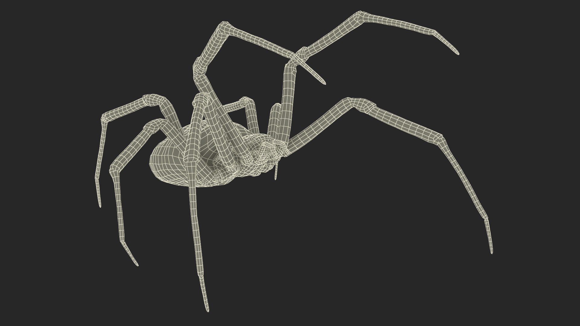 3D model Argiope Trifasciata Spider Rigged for Maya https://p.turbosquid.com/ts-thumb/Qh/lqJ01L/M7/argiopetrifasciataspiderriggedformayac4dmodel038/jpg/1664224053/1920x1080/fit_q87/cdb9ea634cd19dba83cbd6ac865a215f10759db2/argiopetrifasciataspiderriggedformayac4dmodel038.jpg