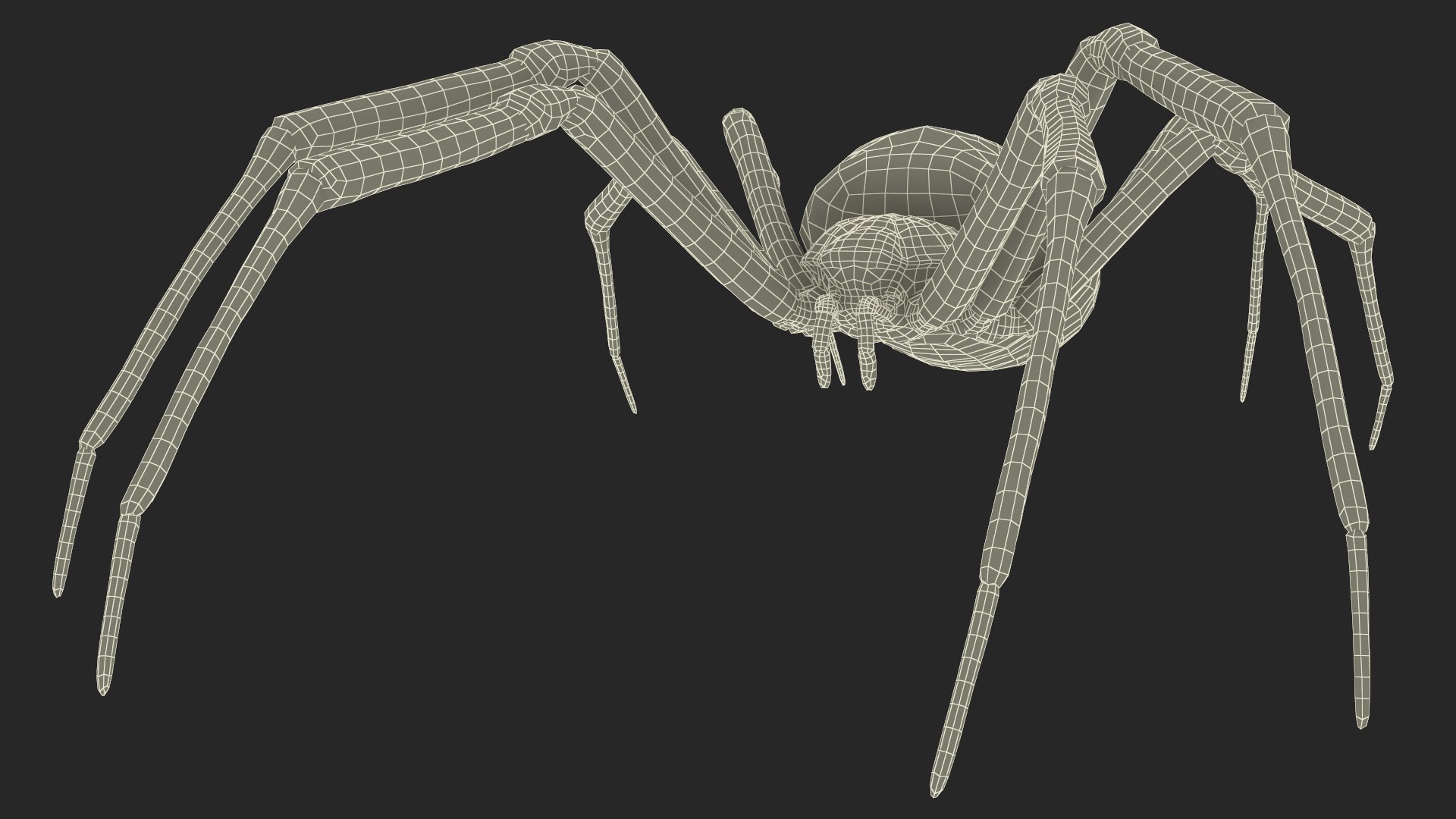 3D model Argiope Trifasciata Spider Rigged for Maya https://p.turbosquid.com/ts-thumb/Qh/lqJ01L/O0/argiopetrifasciataspiderriggedformayac4dmodel032/jpg/1664224030/1920x1080/fit_q87/854371d060591eedf7b8c362d9571c3b151ce4ad/argiopetrifasciataspiderriggedformayac4dmodel032.jpg