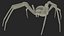 Argiope Trifasciata Spider Rigged per Maya