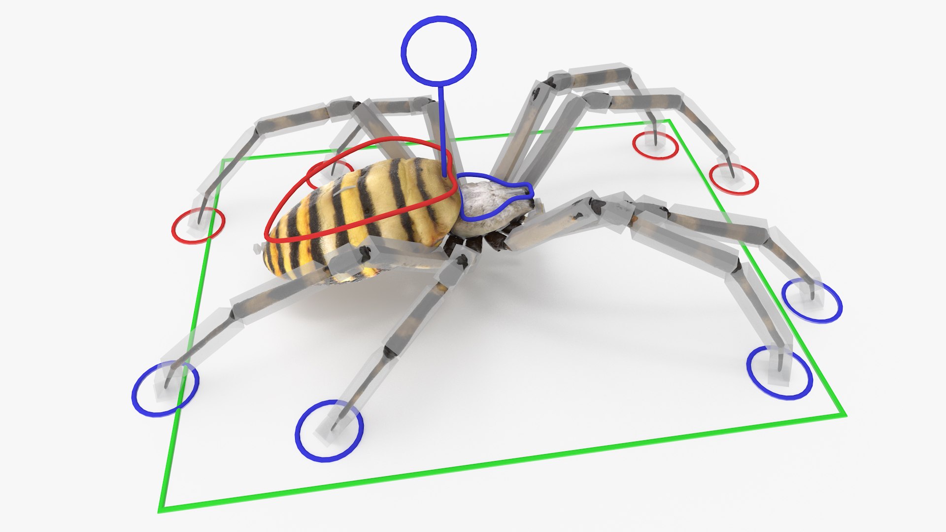 3D model Argiope Trifasciata Spider Rigged for Maya https://p.turbosquid.com/ts-thumb/Qh/lqJ01L/Oj/argiopetrifasciataspiderriggedformayac4dmodel020/jpg/1664223986/1920x1080/fit_q87/25f8f3bd537971080178671d8e7878b59cd52bd8/argiopetrifasciataspiderriggedformayac4dmodel020.jpg