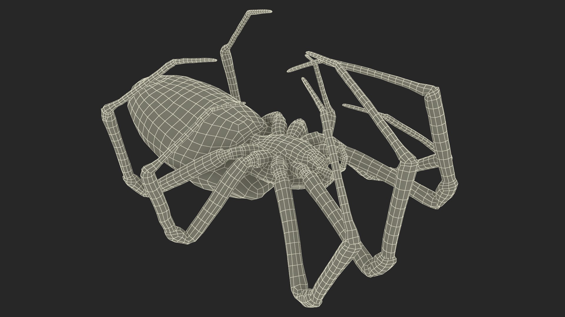 3D model Argiope Trifasciata Spider Rigged for Maya https://p.turbosquid.com/ts-thumb/Qh/lqJ01L/SG/argiopetrifasciataspiderriggedformayac4dmodel040/jpg/1664224060/1920x1080/fit_q87/ede4cd91176dae00aa9a42291680187448b0ee50/argiopetrifasciataspiderriggedformayac4dmodel040.jpg
