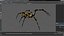 Argiope Trifasciata Spider Rigged per Maya